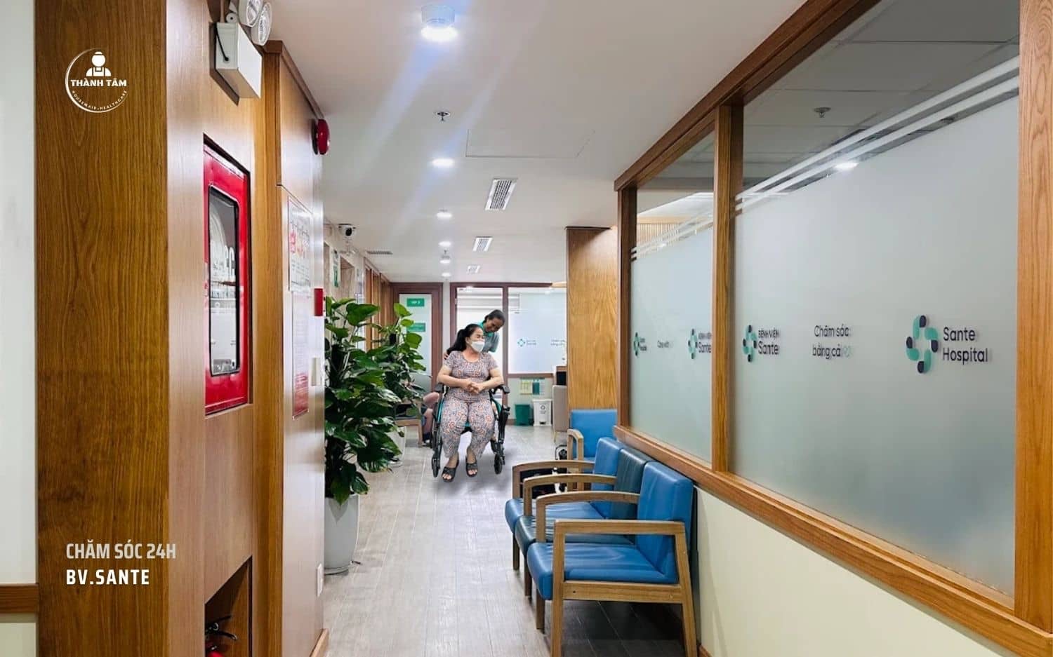 Sante được đánh giá cao trong điều trị ngoại khoa